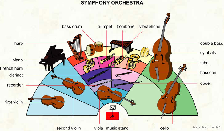 Symphony orchestra